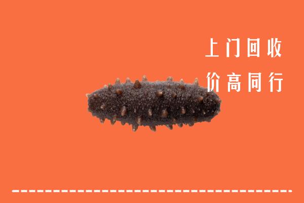 张家口高价回收海参